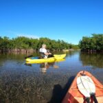 Mangrove Tunnel Kayak Adventure in Key Largo - The Sum Up