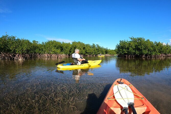 Mangrove Tunnel Kayak Adventure in Key Largo - The Sum Up