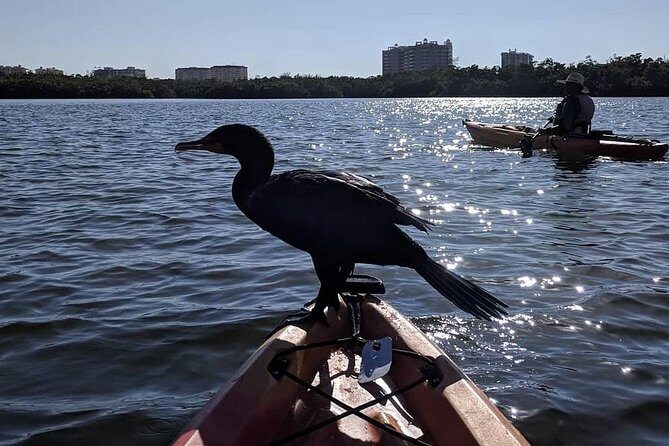Mangrove Tunnels Pedal Kayak Eco-Tour in Anna Maria - Why This Tour Works