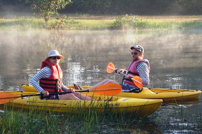 Mangroves Magic Goa Kayaking Experience - Why We Love This Experience