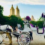 Manhattan: VIP Private Horse Carriage Ride in Central Park - Practical Details and Tips