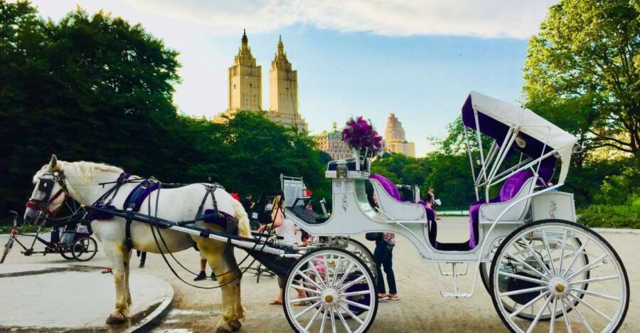 Manhattan: VIP Private Horse Carriage Ride in Central Park - Practical Details and Tips