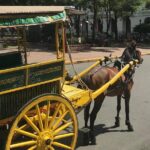 Manila City Intramuros Tour & famous highlights - Why This Tour Offers Great Value