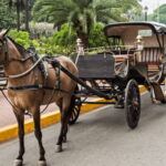 MANILA: HISTORICAL KALESA RIDE TOUR EXPERIENCE IN INTRAMUROS - Who Should Consider This Tour?