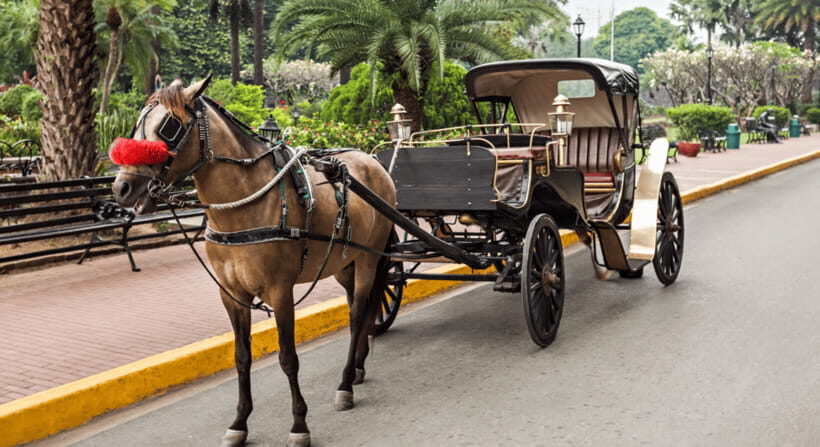 MANILA: HISTORICAL KALESA RIDE TOUR EXPERIENCE IN INTRAMUROS - Who Should Consider This Tour?
