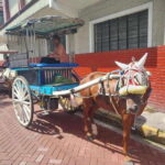 Manila: Intramuros and Chinatown Food Tour with Food Samples - Who Is This Tour Best For?