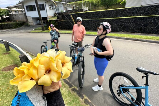 Manoa Falls-Electric Bike to Hike Experience Local meal included - A Close Look at the Tour Itself