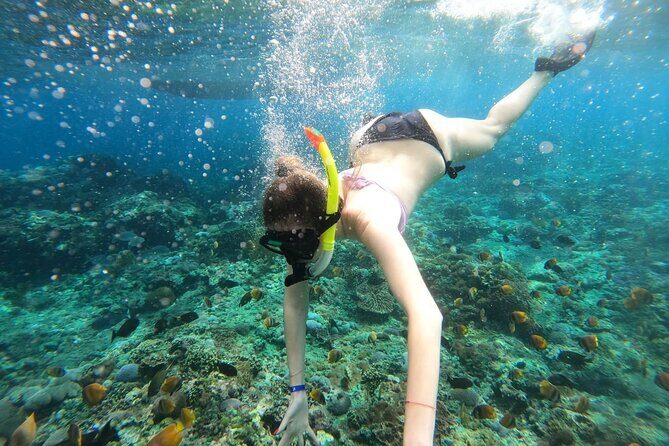 Manta Bay Snorkeling Adventure with Kelingking Beach Nusa Penida All Inclusive - Authentic Experiences and Real Guest Feedback