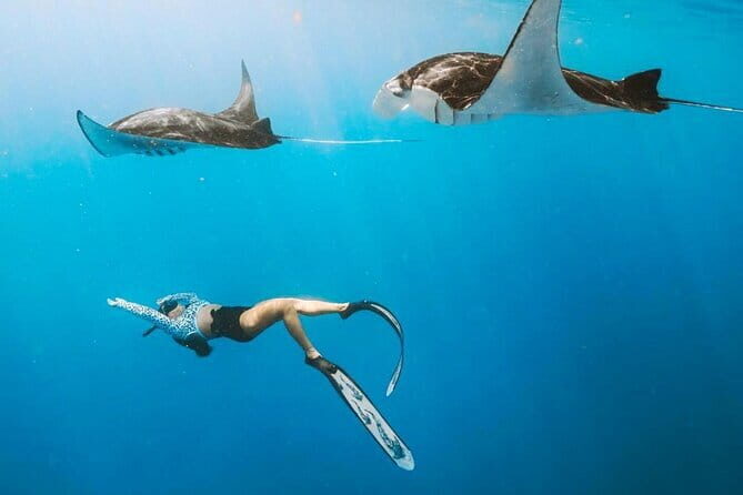 Manta Point Snorkeling & West Nusa Penida Island Day Tour - Manta Point Snorkeling: The Highlight