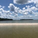 Marco Island 2 hour Dolphin, Birding and Shelling tour - Who Will Love This Tour?