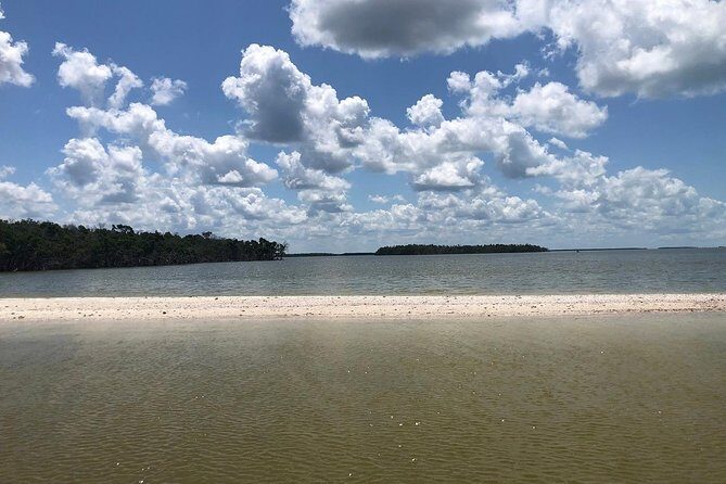 Marco Island 2 hour Dolphin, Birding and Shelling tour - Who Will Love This Tour?