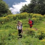 Mardi Himal Base Camp Trek (5 Days) - Who Will Enjoy This Trek?