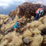 Mardi Himal Base Camp Trek from Pokhara - FAQ