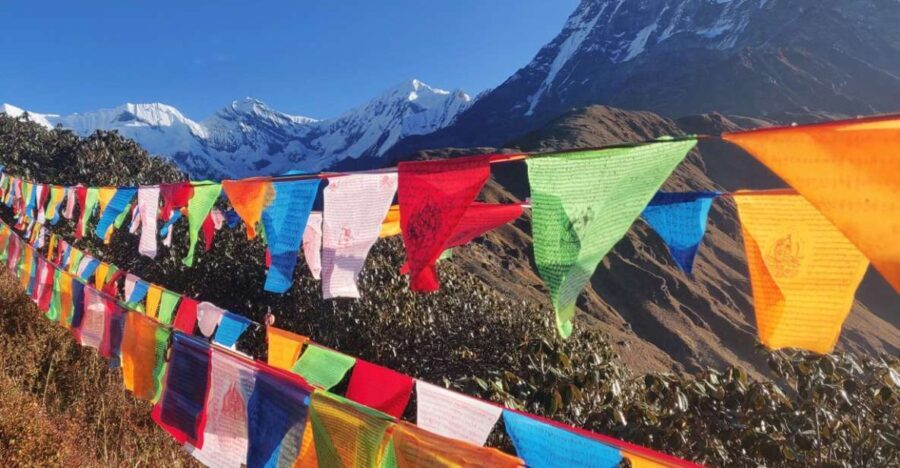 Mardi Himal Base Camp Yoga Trek 7-Day - What Makes This Trek Special?