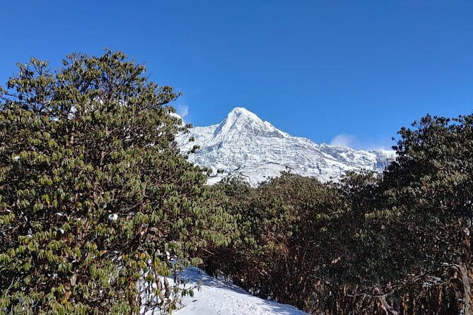 Mardi Himal Trek - Day 3: Summit or Viewpoint – Mardi Himal