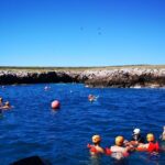 Marietas Islands Snorkel Tour & Hidden Beach - What Travelers Are Saying