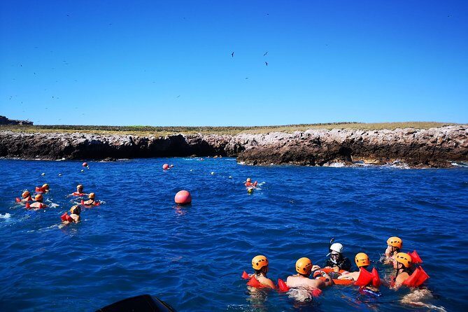 Marietas Islands Snorkel Tour & Hidden Beach - What Travelers Are Saying