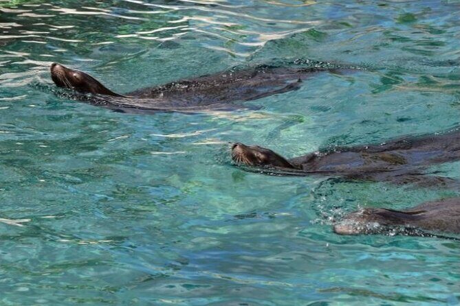 Marine Ecology Tour in La Paz Mexico - The Sum Up: Who Will Love This Experience?