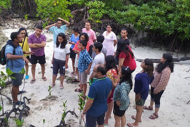 Marine Trail - The Night-Time Variation: An Unforgettable Twist