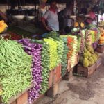 Market Tour and Cooking Class from Colombo - The Logistics: How It Works