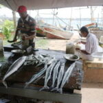 Market Tour and Sri Lankan Cooking Class inside Galle Fort - A Closer Look at the Galle Market and Cooking Experience