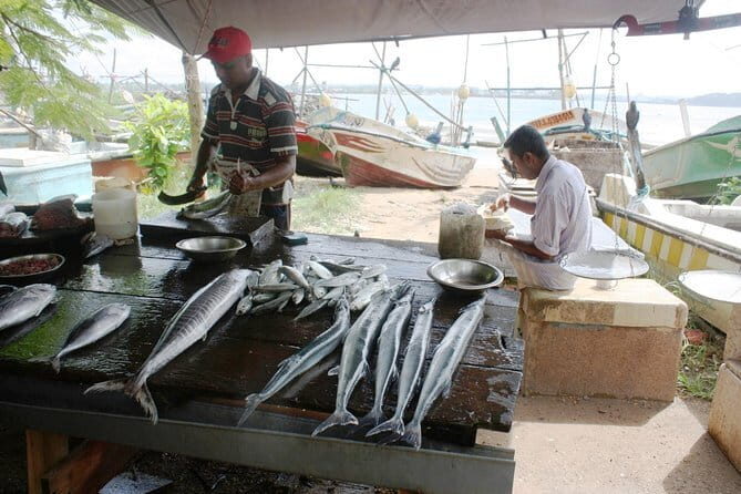 Market Tour and Sri Lankan Cooking Class inside Galle Fort - A Closer Look at the Galle Market and Cooking Experience