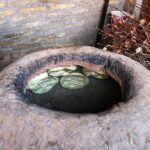 Master Class - Uzbek Bread (Khiva) - Considering the Value