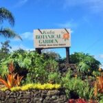 Maui Haleakala Volcano Summit Slingshot Tour from Kihei - Authentic Feedback from Travelers