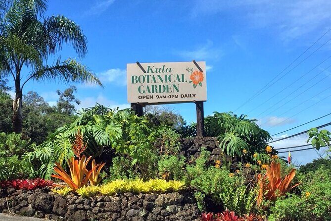 Maui Haleakala Volcano Summit Slingshot Tour from Kihei - Authentic Feedback from Travelers