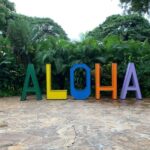 Maui: Kahului Airport (OGG) Traditional Lei Greeting - A Warm Hawaiian Welcome at Kahului Airport