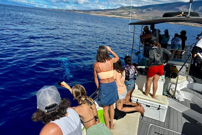 Maui Mid Day Magic Whale Watch - Who Will Love This Tour?