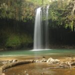 Maui part-way to Hana North Shore sightseeing & Photography Tour! - Final Thoughts: Who Will Love This Tour?