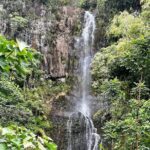 Maui Road to Hana VIP Private Tour in Convertible Bronco - Who Will Love This Tour?
