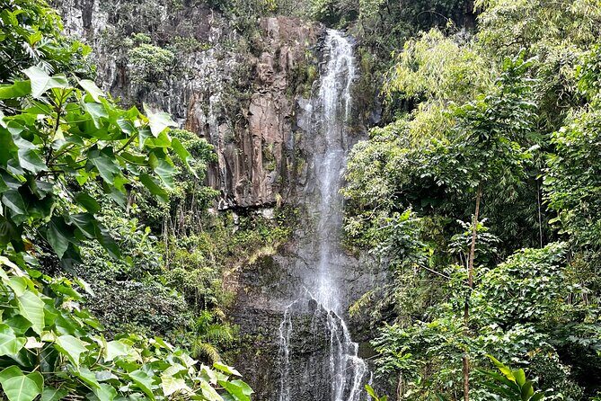 Maui Road to Hana VIP Private Tour in Convertible Bronco - Who Will Love This Tour?