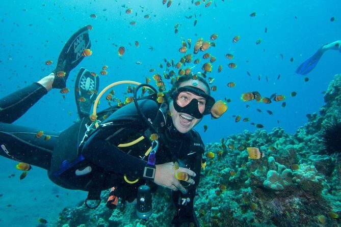 Maui Scuba Diving Introductory Lesson from Lahaina - Who Should Consider This Tour?