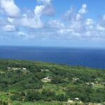 Maui to Big Island : Big Island Volcano Helicopter Tour & Ground Tour - Final Thoughts on Value