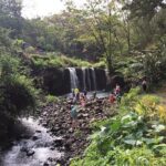 Maui Tour : Road to Hana Day Trip from Lahaina with Pick-up - Discovering Maui’s Natural and Cultural Treasures