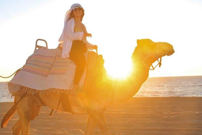 Maverick and RZR in the Beach and Desserts from Los Cabos - Authenticity and Value