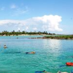 Mayan Adventure Snorkeling Tour from Playa del Carmen or Riviera Maya - Who Should Book This Tour?