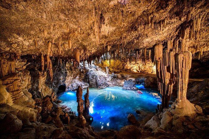 Mayan Underworld Experience (Cenote-Museum) - Who Will Love This Tour?