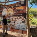 Mazatlan Day Tour: La Noria village and Los Osuna Distillery - A Deep Dive into the Mazatlan Day Tour: La Noria Village and Los Osuna Distillery