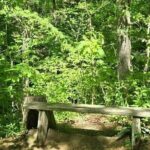 Meditative, Forest Bathing Hike followed by Yoga on the Deck - Final Thoughts: A Calm, Authentic Experience in Nashville