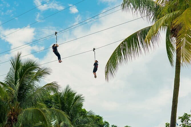 MegaZip, Climb & Jump at Mega Adventure - Who Will Love This Tour?