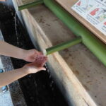 Meiji Jingu Shrine; Aoyama; Art Museums and Walking Tours - The Value of Guided Insight