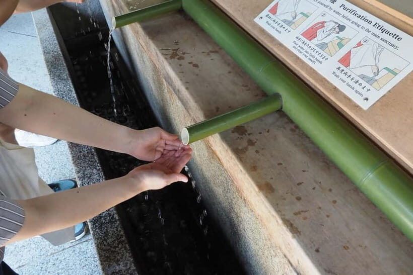 Meiji Jingu Shrine; Aoyama; Art Museums and Walking Tours - The Value of Guided Insight