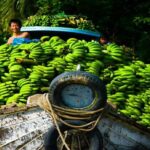 Mekong Delta 1 Day Tour - Authentic Experiences & Real Traveler Insights