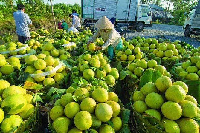 Mekong Delta 2Day Tour: Cai Rang Floating Market, My Tho, Can Tho - Final Thoughts
