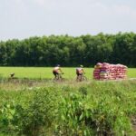 Mekong Essential Cycling - Authentic Experiences that Shine