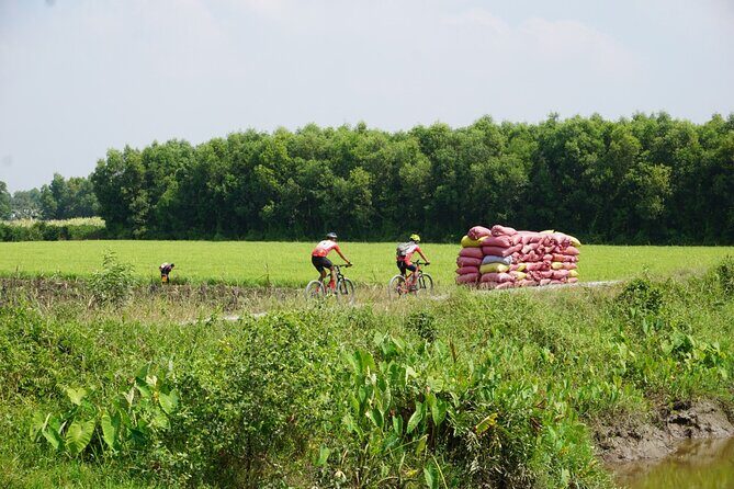 Mekong Essential Cycling - Authentic Experiences that Shine