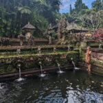 Melukat Ceremony and Temple Tour at Gunung Kawi Sebatu Temple - Who Should Consider This Tour?